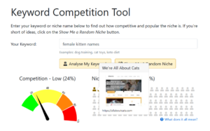 Is Your Niche Competitive? Find Out With Our New Tool!